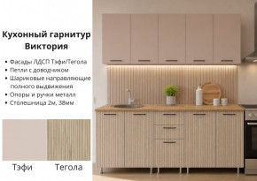 КГ Виктория 2м в Карасуке - karasyk.mebelnovo.ru | фото