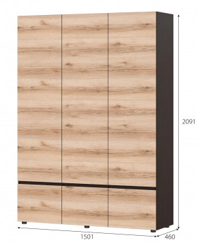 Шкаф 3-х Берген в Карасуке - karasyk.mebelnovo.ru | фото